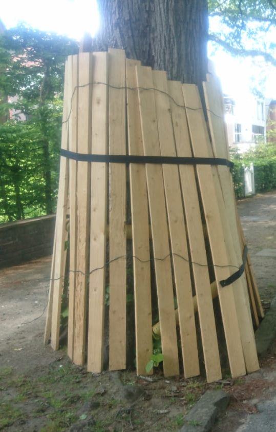 Baumschutz-Baustelle